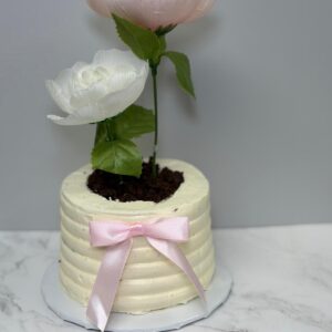 Flowerpot Cake